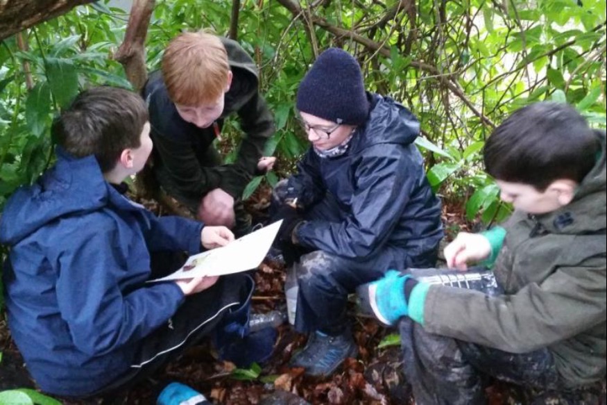 Forest school experience inspires young pupils