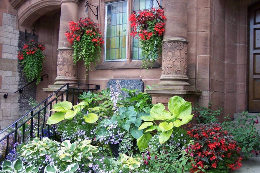 Share your photos online to keep Colwyn in Bloom!