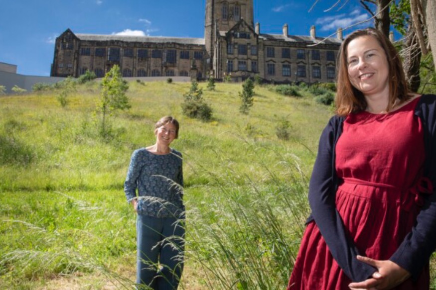 Pioneering meditation courses to help cope with pandemic stress