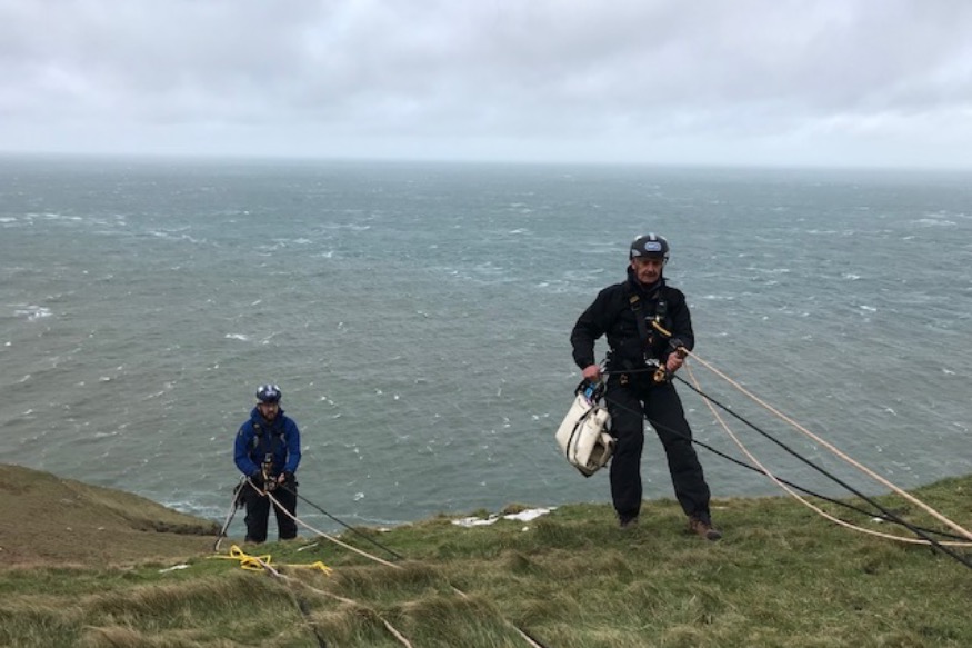 Stranded sheep rescued from Orme before storm arrived