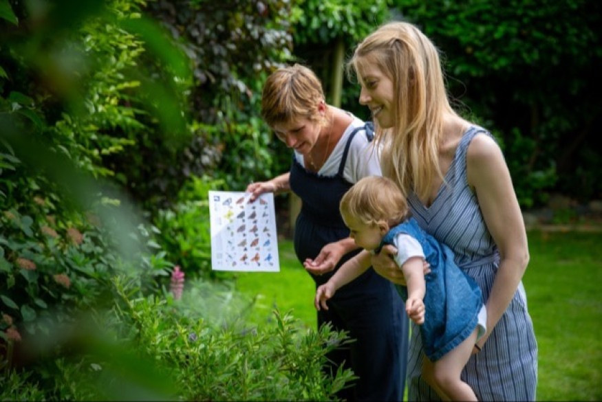 Wet weather causing havoc for butterflies and butterfly count