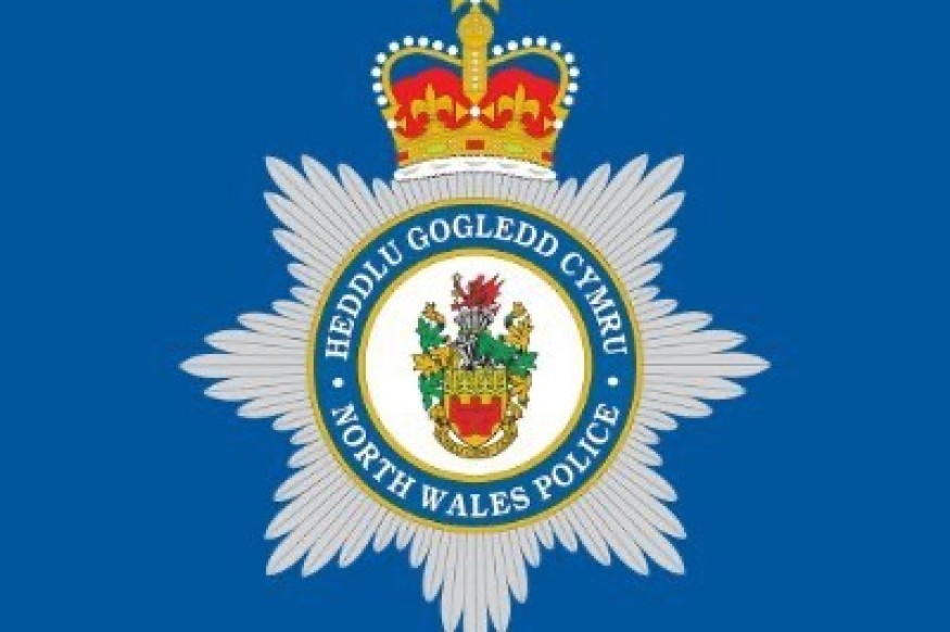 Witnesses sought after 10 year old assaulted at funfair