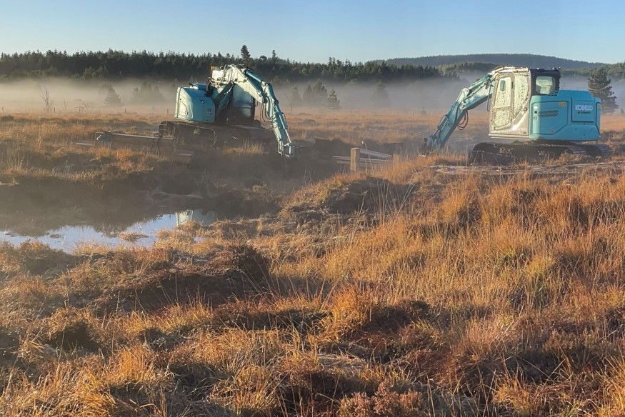 New Year and new Peatland Restoration Funding in Wales