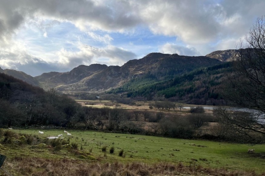 MS shocked at the amount of litter collected in the county