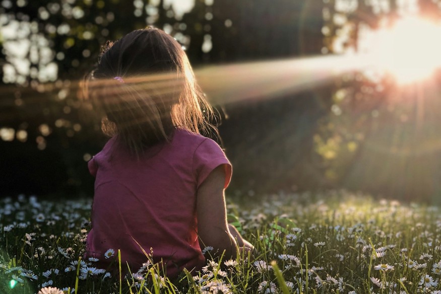 Wales Nature Week celebrates wildlife and action for nature