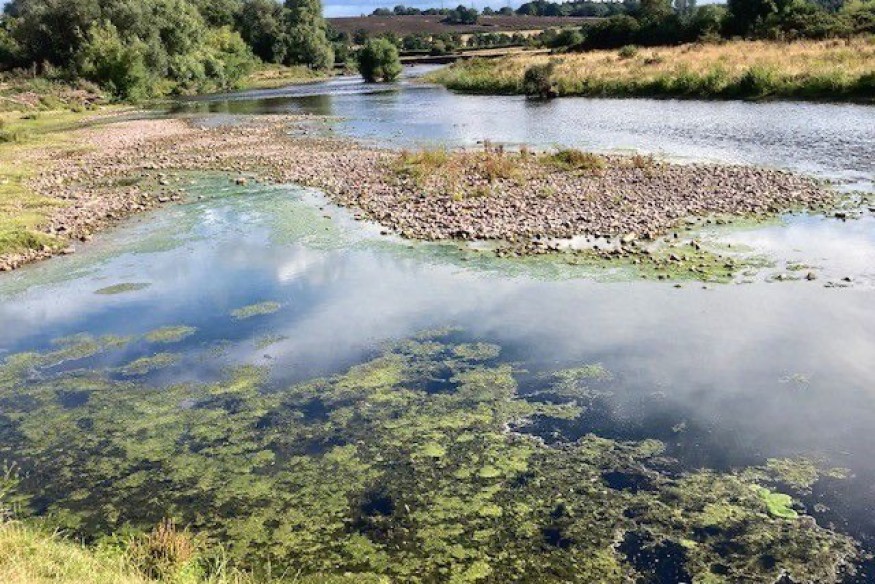Wales faces water shortages as rivers hit historic low
