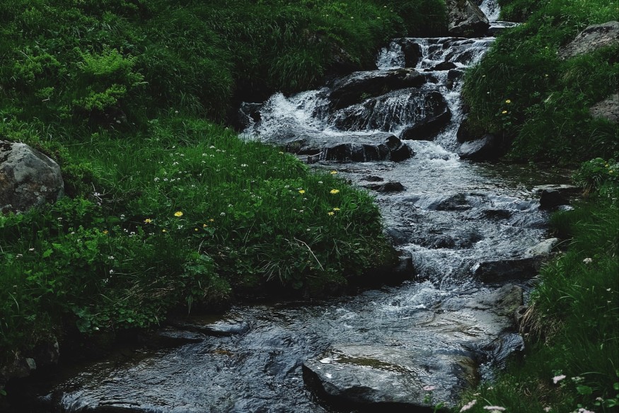 Dŵr Cymru Welsh Water’s pollution crisis deepens